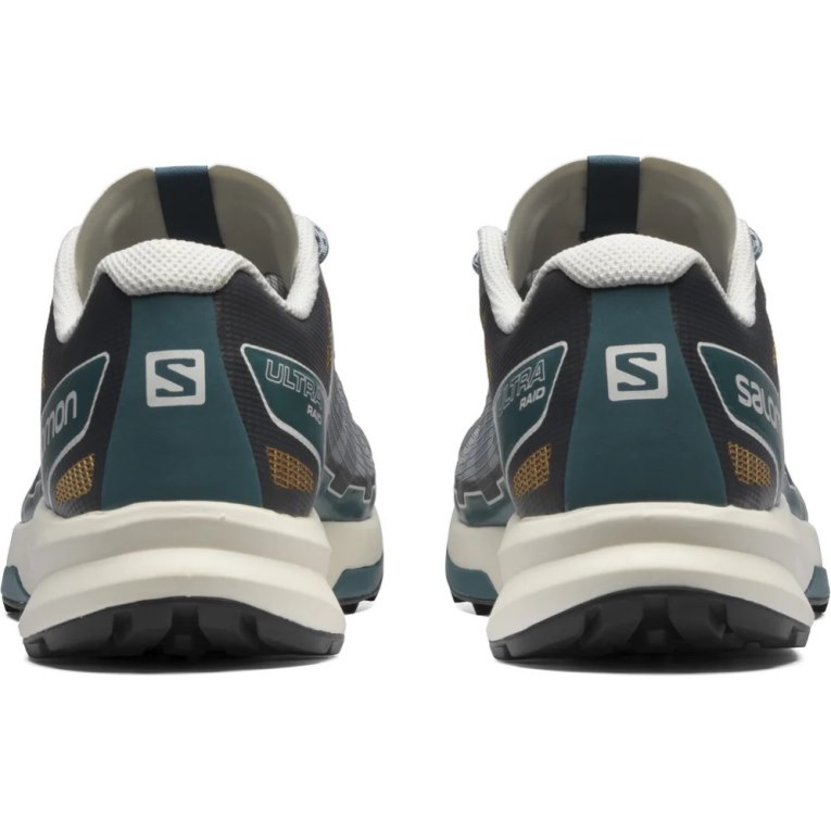 Grey Salomon Ultra Raid Women's Sneakers | IE NV3807